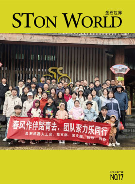 Internal Journal (seventeenth issue)